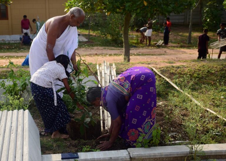 Acharya planting a tree